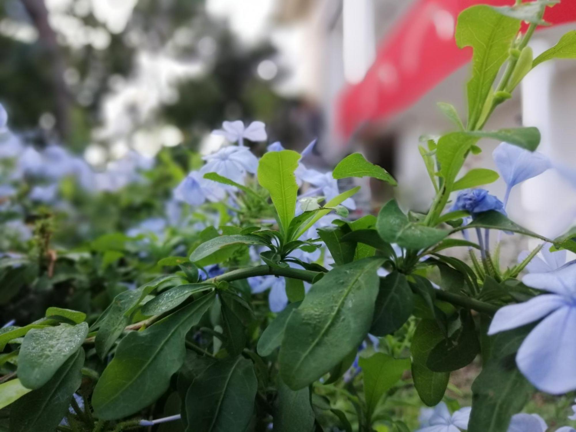 B&B Sa Scraria Meana Sardo Εξωτερικό φωτογραφία